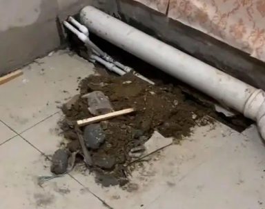 凤阳卫生间漏水检测哪家好
