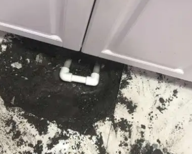 凤阳查漏水哪家好