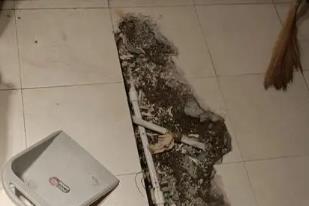 凤阳卫生间漏水检测电话